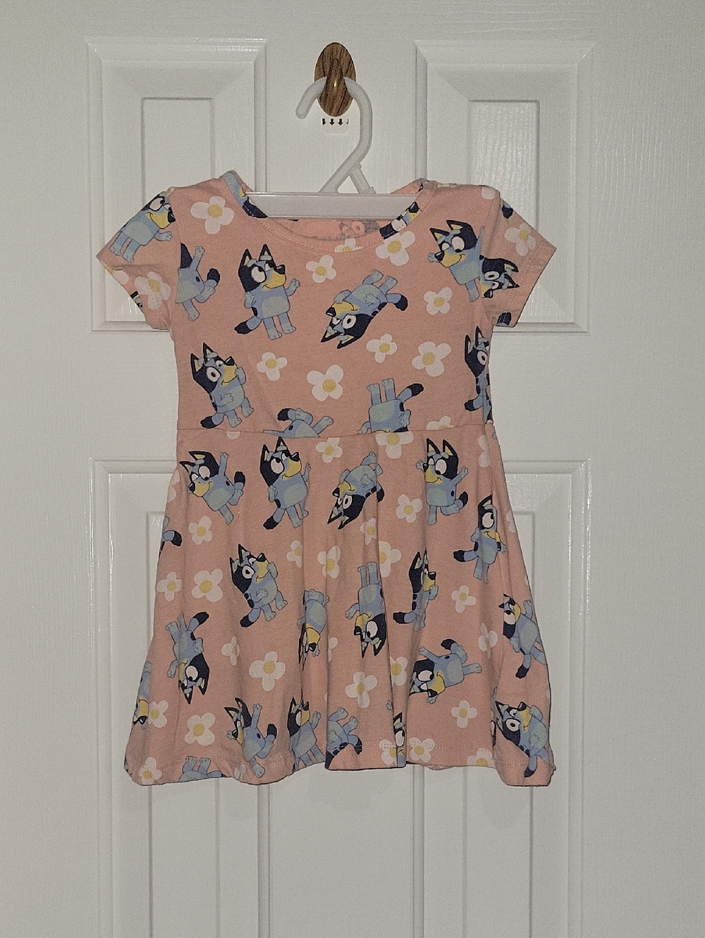 Bluey Print Dress Size 3T